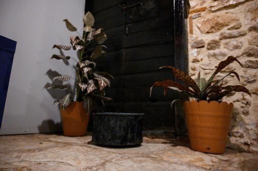 פרבזה Christi Iuxury Apartment מראה חיצוני תמונה